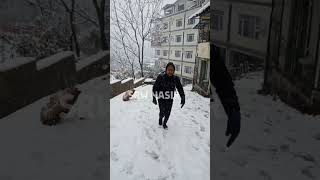 Full enjoy shimla snowfall kalka simla snowfall shortvideos [upl. by Constancy]