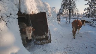 Yakutia Maldzhagar ENG SUB [upl. by Drape]