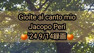 🍊Gioite al canto mio Jacopo Peri 24 914録画🍊 [upl. by Rebm402]