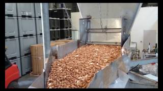 Almond Pasteurization [upl. by Hannah]