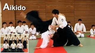 Beautiful Aikido demonstration 2019 with woman  Shirakawa Ryuji shihan [upl. by Shugart]