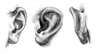 How to Draw Ears  Anatomy and Structure [upl. by Snebur965]