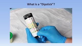 Interpretation of the Urinalysis Part 2  The Dipstick [upl. by Llevaj]