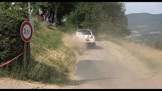 Rallye Vosges Grand Est 2023  Crashs amp Actions [upl. by Jamilla]