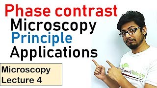 Phase contrast microscopy principle and working [upl. by Aerdnas]