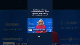 Liz Cheney A president who will ignore the rulings of the courtswill immediately unravel Shorts [upl. by Wiles846]