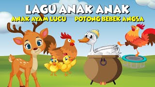 Anak Ayam Yg Lucu  Potong Bebek Angsa  Lagu Anak Indonesia Terpopuler [upl. by Meehsar]