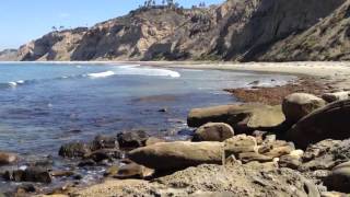 BLACKS BEACH LA JOLLA [upl. by Foushee]