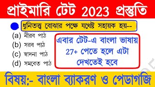 primary tet preparation 2023  wb primary tet preparation 2023  primary tet bengali pedagogy [upl. by Baptist]