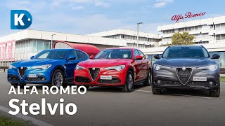 ALFA ROMEO STELVIO  Allestimento Business Executive e BTech differenze e quale scegliere [upl. by Leonelle374]