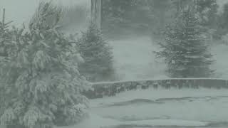 Epic Snowstorm  Howling Blizzard Sounds  Heavy Wind amp Snow  Perfect Sounds For Sleep [upl. by Joya]