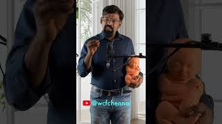 4 வது 5 மற்றும் 6 வது மாத கர்ப்ப குறிப்புகள் normal delivery tips [upl. by Sad]