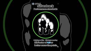 Silverback Performance Standards [upl. by Salangia936]