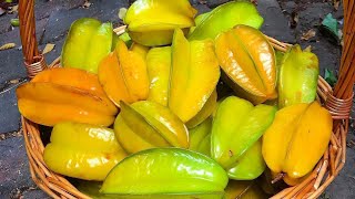 STAR FRUIT JUICE Five Finger Carambola loads of health benefits [upl. by Akinehc]