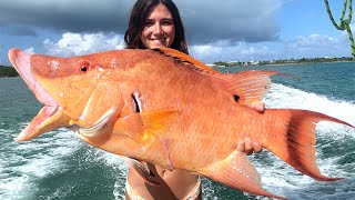 Spearfishing GIANT Hogfish and Grouper in the Bahamas Catch Clean Cook [upl. by Urquhart]