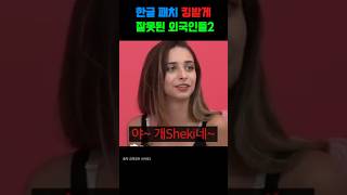 한글패치 킹받게 잘못된 외국인들2ㅋㅋㅋ [upl. by Cormier]