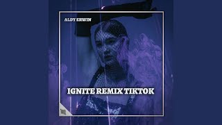 DJ IGNITE REMIX TIKTOK INSTRUMEN [upl. by Bird855]