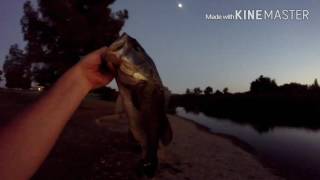 CALIBASSKID TV Vlog 12 Fishing With A Plan [upl. by Glenda]