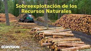 SOBREEXPLOTACIÓN DE LOS RECURSOS [upl. by Nada30]