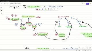 Bronchial asthma pharmacology 1 [upl. by Horan]