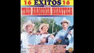 Trio Armonia Huasteca  16 Exitos Disco Completo [upl. by Wolff]