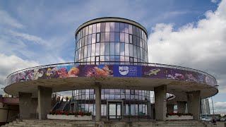 14 OCEANARIUM GDYŃSKIE  AKWARIUM MORSKIE W GDYNI [upl. by Lonyer]