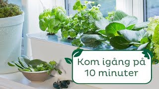 Kom igång på 10 minuter – hydroponisk odling med Harvy [upl. by Metah357]