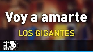 Voy a Amarte Los Gigantes Del Vallenato  Audio [upl. by Hekker]