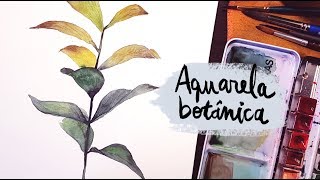 DESENHA E FALA 24  Aquarela Botânica [upl. by Cynthla]