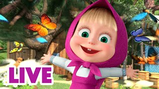 🔴 EN VIVO Masha y el Oso Castellano 😁 La felicidad es la clave del éxito 🔑 Masha and the Bear [upl. by Ahsets]