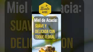 Tipos de Miel y sus Características mieldeabeja abejasolitaria abejasStradaMielMexico [upl. by Phionna]