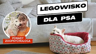 Legowisko dla psa  Jakie wybrać Gdzie położyć Rodzaje legowisk  wyprawka dla psa  szczeniaka [upl. by Bork]