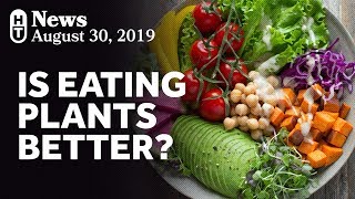 New Research On PlantBased Diets and Mortality [upl. by Farand447]