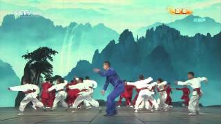 Wushu Performance  Chinese New Year 2013  2013年春晚《中国武术》 [upl. by Niddala]