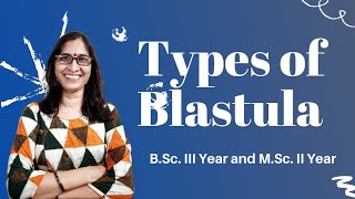 Types of Blastula NEET BSc IIIYear and MSc llYear  Dr Ranjana Gupta [upl. by Damon]