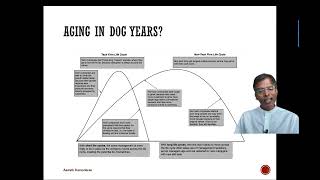 The Corporate Life Cycle The Key Ideas [upl. by Daisie]