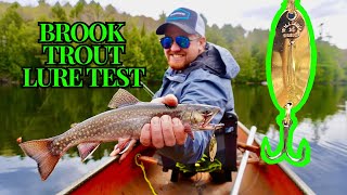 BACKCOUNTRY Lake LOADED with BROOK TROUT  ALGONQUIN PARK Trout Fishing [upl. by Casey419]