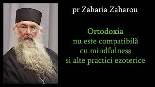 pr Zaharia Zaharou despre practicile de tip mindfulness si ortodoxia [upl. by Duthie289]