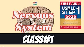 Nervous System Classs1 CNS Cells Sensory Receptors from First Aid USMLE Step 1 [upl. by Llirret671]