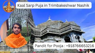 Pitra Dosh puja in trimbakeshwar cost Call 918766653216 To Book Puja in trimbakeshwar pitradosh [upl. by Llehsor]