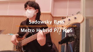 Sadowsky PJ Bass 쉐도우스키 주와 같이 길가는 것 베이스 찬송가 펑크 [upl. by Cusick]