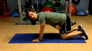 Horse Stance Exercise Beginner [upl. by Leeland172]