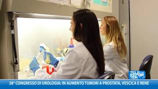 28° Congresso di UrologIa in aumento tumori prostata vescica e rene [upl. by Ayikur535]