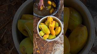 ⚡⚡ Mango Tandra Making Process⚡⚡ shorts telugufoodie esangathulu streetfood foodie omelette [upl. by Shull]