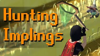 Hunting Implings Money Making Guide Eclectic [upl. by Baseler]