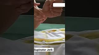 Supinator or Brachioradialis Jerk [upl. by Ycart]