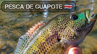 Pesca de guapote en Costa Rica  Éste Señuelo me salvó el día 😱🇨🇷 [upl. by Asuncion]