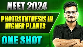 PHOTOSYNTHESIS IN HIGHER PLANTS in 1 Shot FULL CHAPTER COVERAGE TheoryPYQs  Prachand NEET [upl. by Ardnuaek]