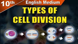 Class10  SSC  Types of Cell Division  Science 2  Maharashtra Board  Home Revise [upl. by Veronika]