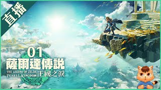 【薩爾達傳說：王國之淚】01 初始空島 [upl. by Germayne]